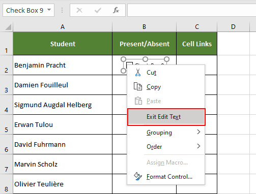 Format the excel checkbox as desired