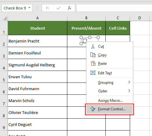 Open the Format Control option for excel checkbox