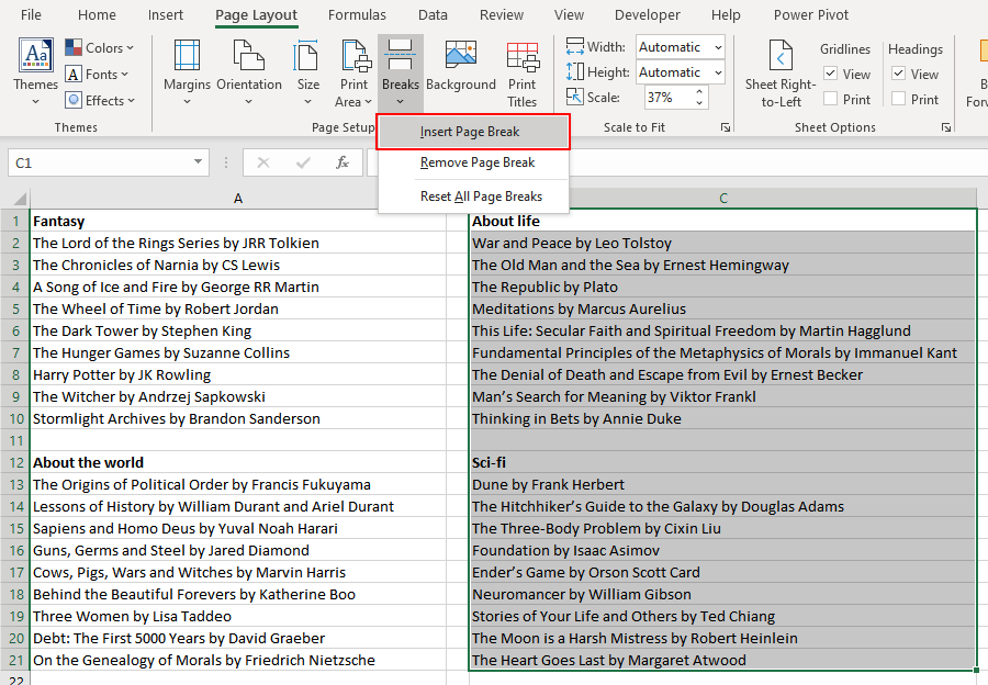How-To-Add-Vertical-Page-Breaks-In-Excel-05