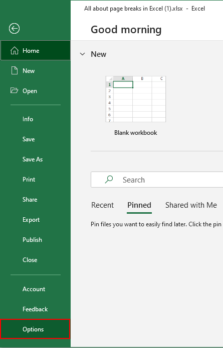 Click on the File tab and select Options from the left panel.