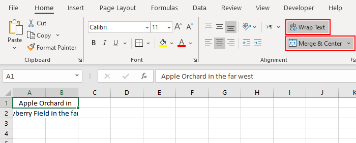 How-To-WordWrap-In-Excel-010