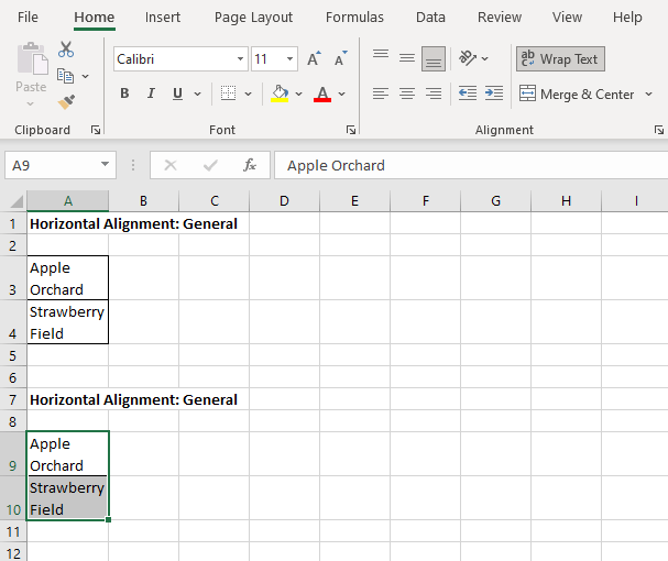 How-To-WordWrap-In-Excel-013