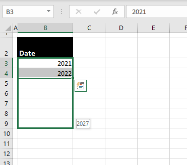 Autofill Year Using the Fill Handle