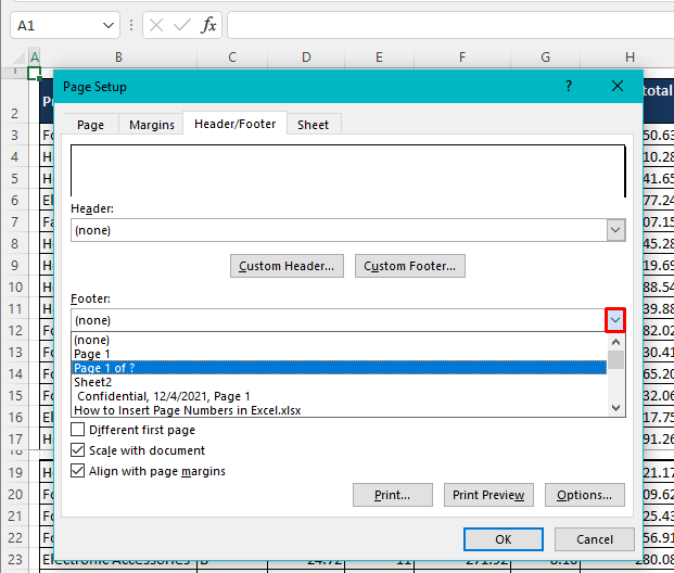 Insert Page Numbers from Page Setup Dialog