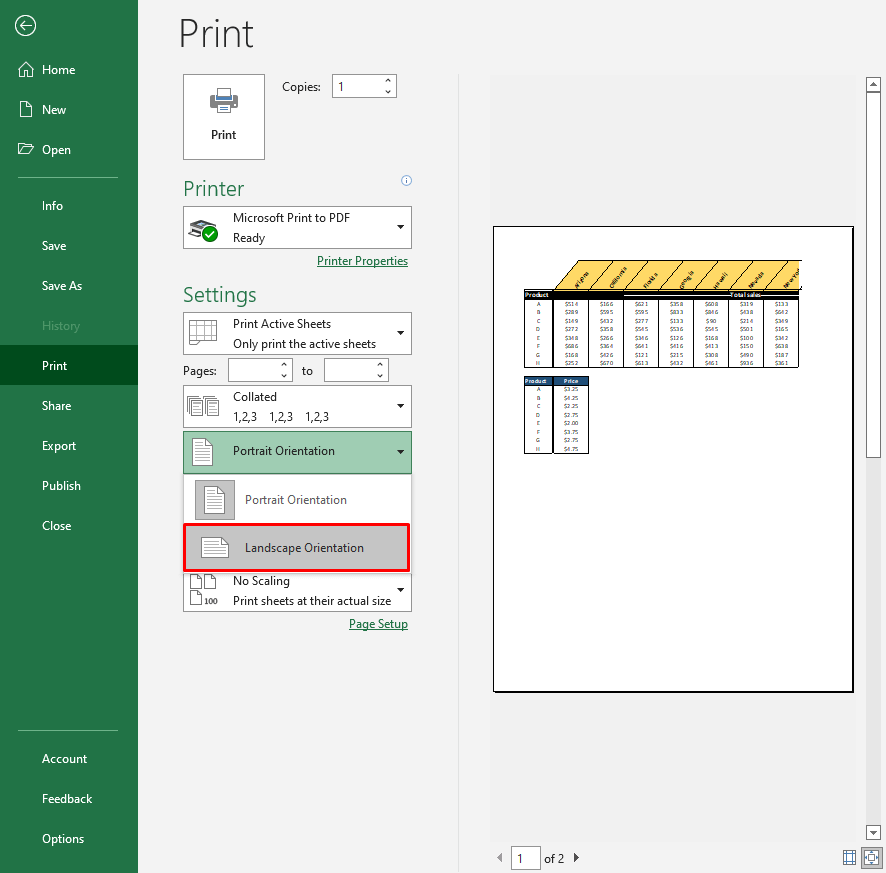 Change Page Orientation in Print Preview