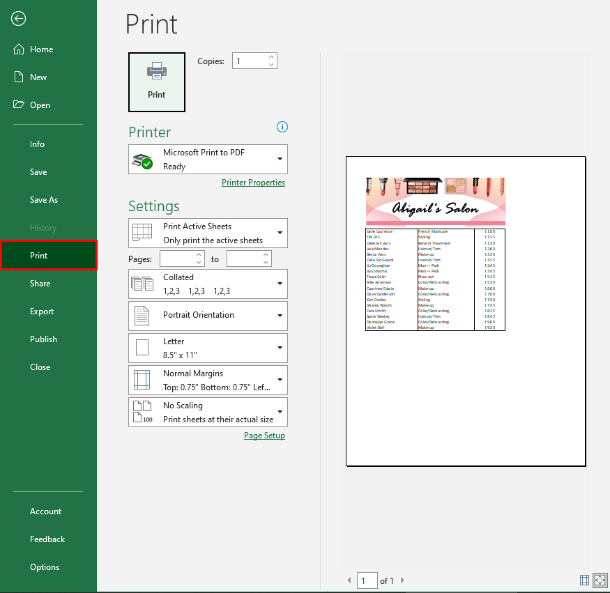 Using Print Preview Mode