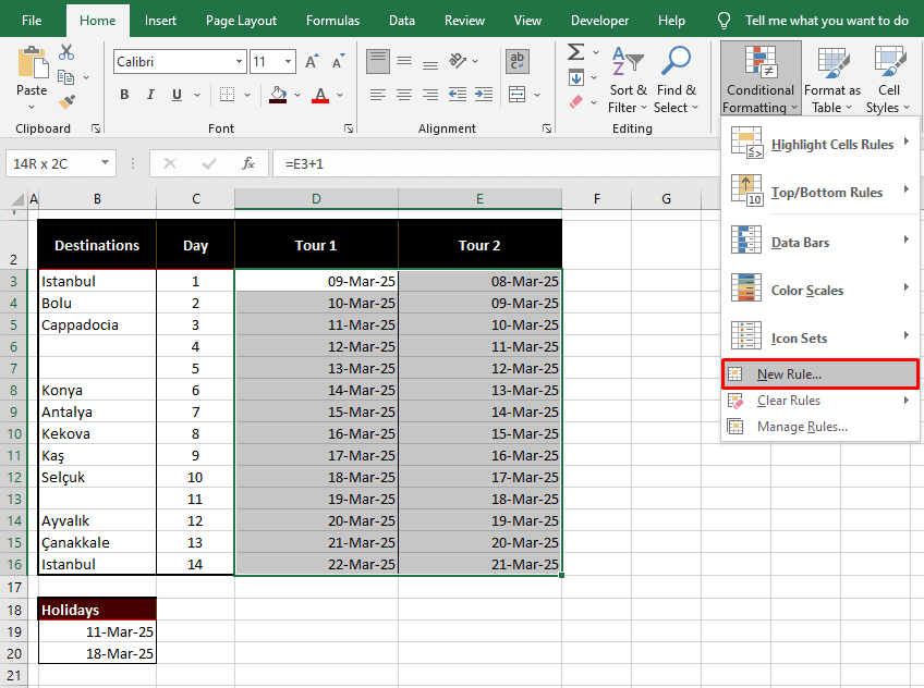 Using WORKDAY Function