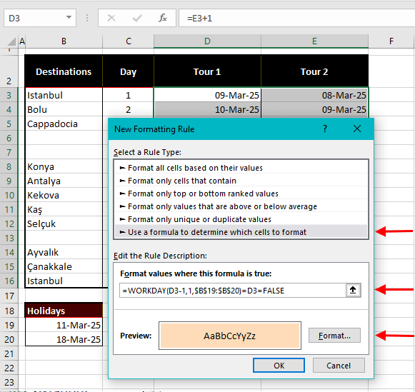 Using WORKDAY Function