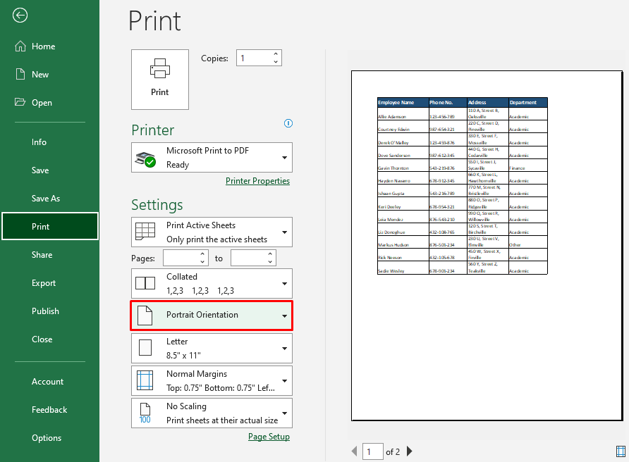 Using Print Preview