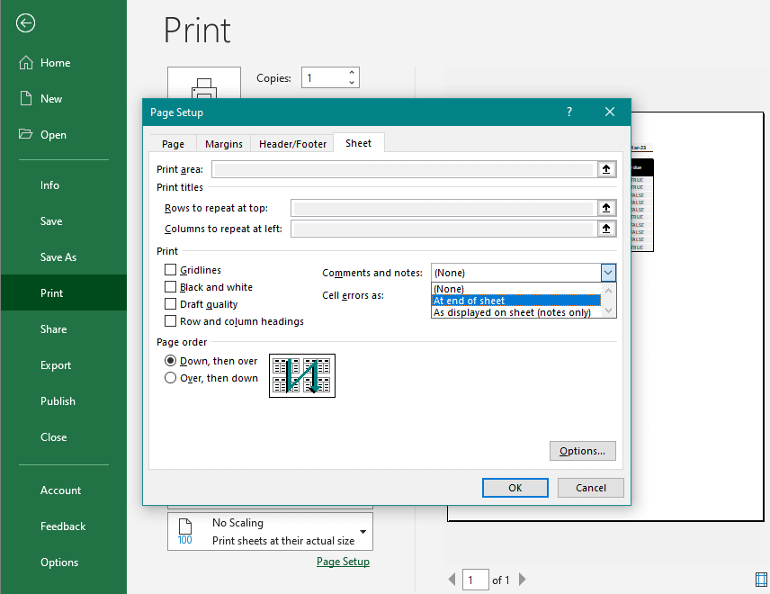 Using Print Preview Option
